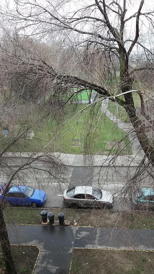 Apartman Szava Angel *