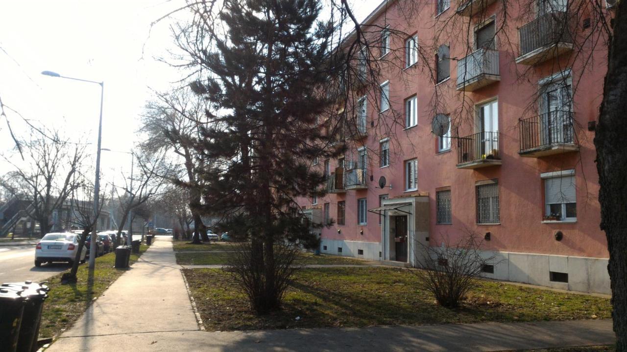 Szava Angel Budapest